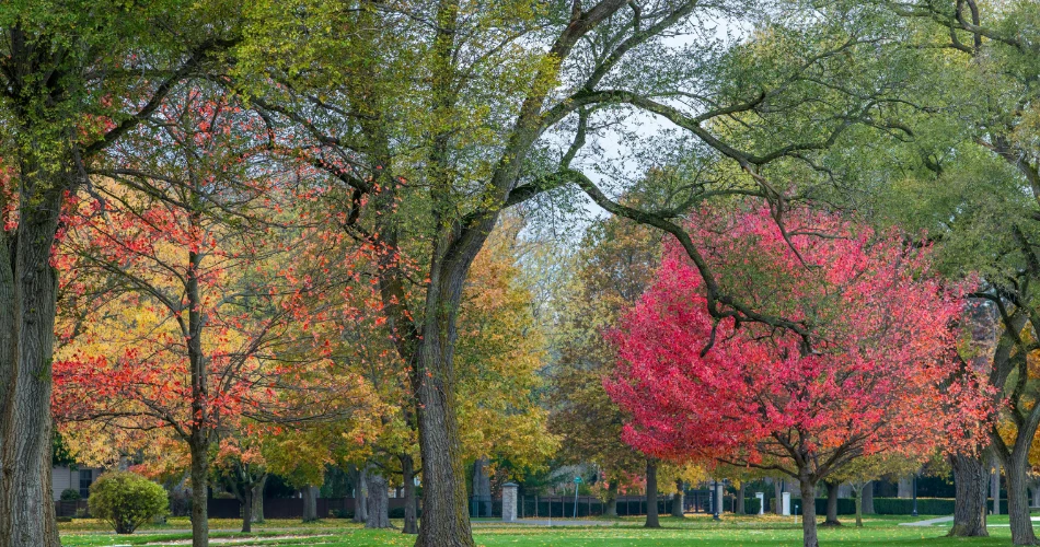 Top Outdoor Things to Do in Alameda: Parks, Beaches & Nature Trails