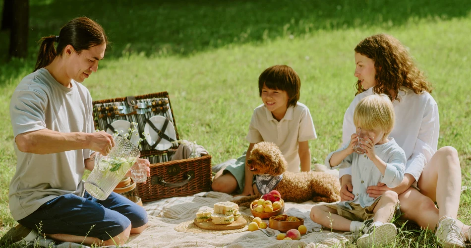 Top Outdoor Things to Do in Alameda: Parks, Beaches & Nature Trails