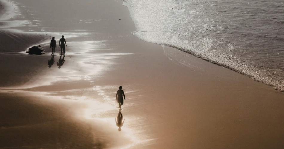 Top Outdoor Things to Do in Alameda: Parks, Beaches & Nature Trails