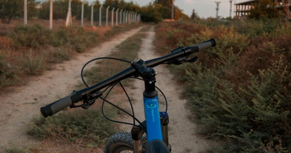 Top Outdoor Things to Do in Alameda: Parks, Beaches & Nature Trails